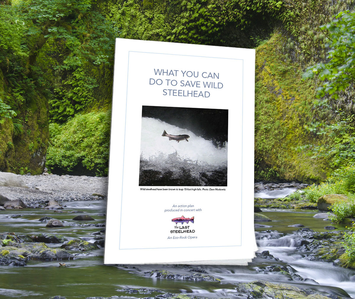 Action Booklet